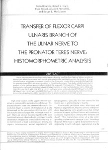 Flexor carpi transfer article cover